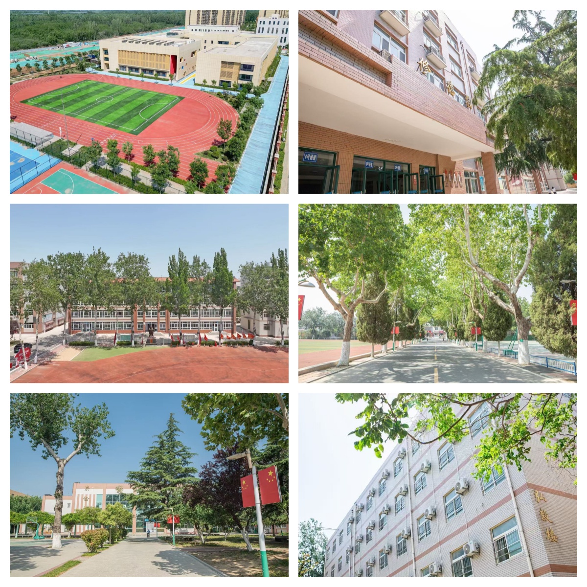 独家盘点!山东省济南市10大有效高三全日制集训补习学校口碑测评