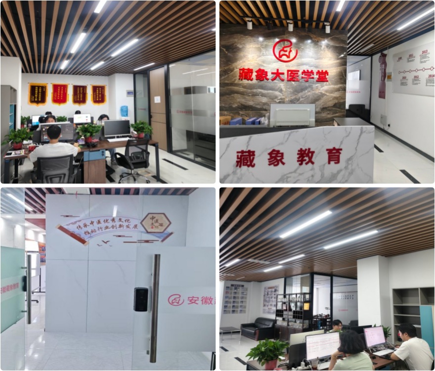 十大安徽安庆市传统确有专长考试培训机构排行榜一览