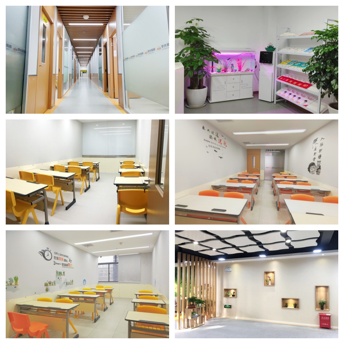 效果好!江苏省无锡市前10艺考文化课辅导学校构排名公布