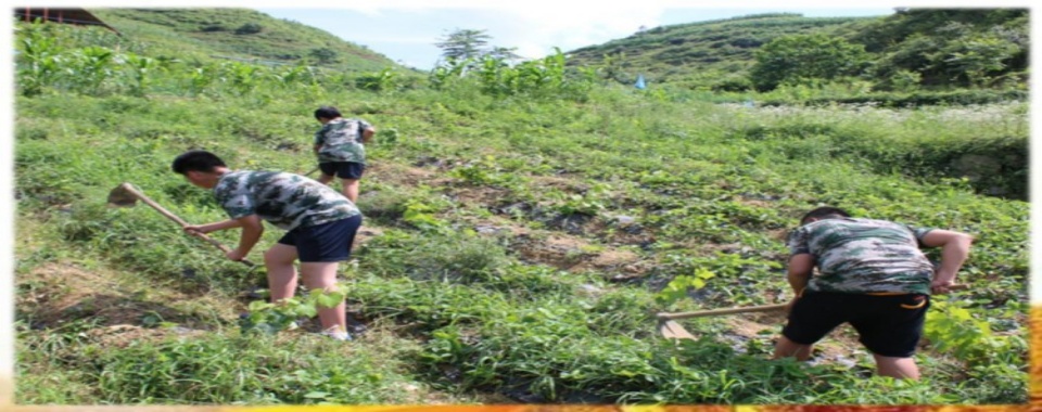 江苏速览专门戒网瘾的封闭式管教学校十大排名列表