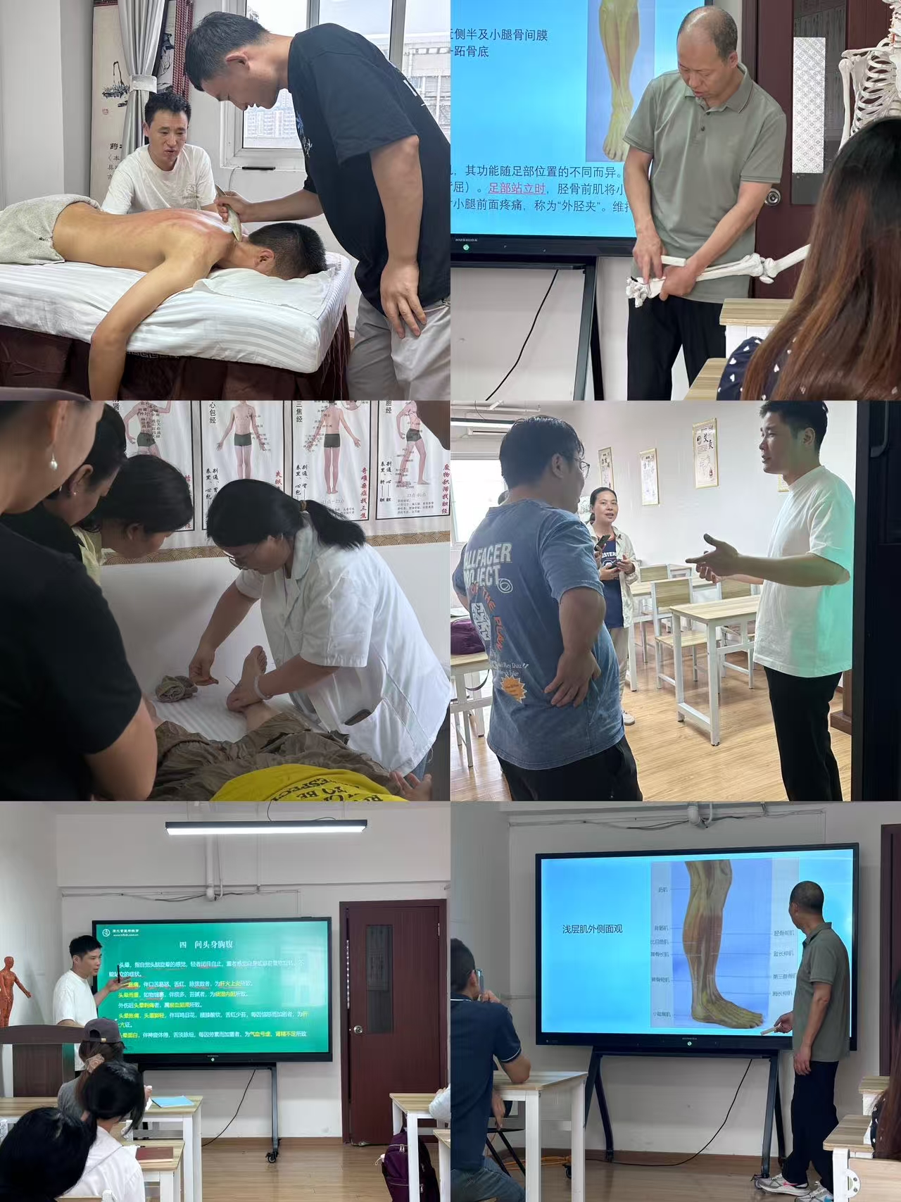 一技之长!合肥市蜀山区中医针灸培训机构十大排行推荐一览