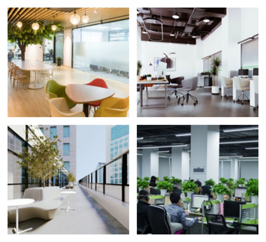 广东五大AP提升考试有名气的培训机构名单榜首公布