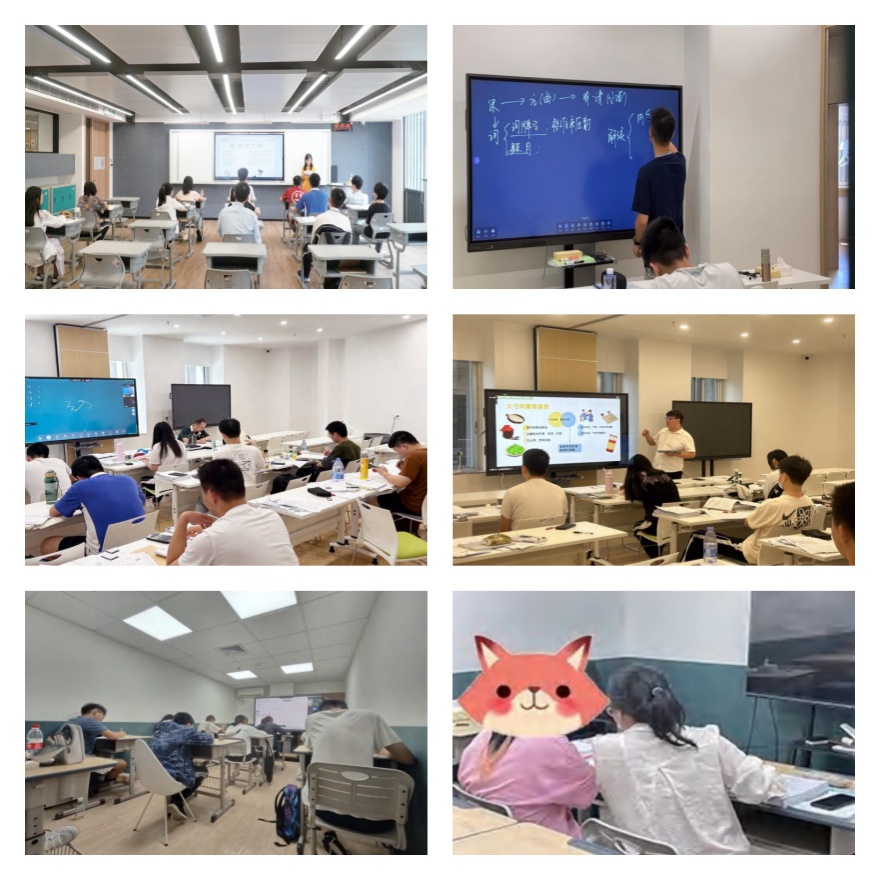 深圳精选五大香港DSE课程辅导培训机构排行榜今日出炉