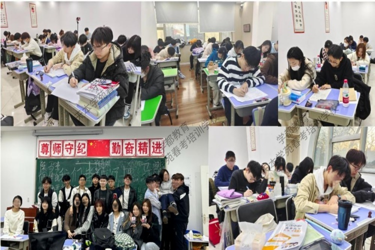 2025年天津宝坻区春季高考辅导机构重磅发布十大排名一览