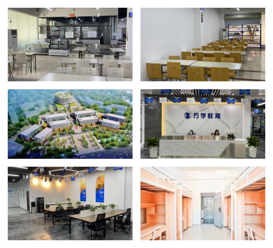 2025四川成都市更新一览考研专业课培训机构2025热门排名Top10