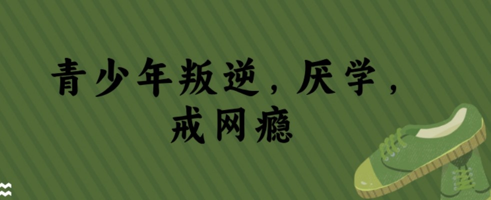 2025年重庆市本地助力青少年戒除网瘾手机瘾学校TOP10榜单
