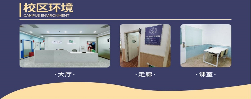 热门一览深圳市龙岗区十大中高考一对一培训机构口碑排名梳理