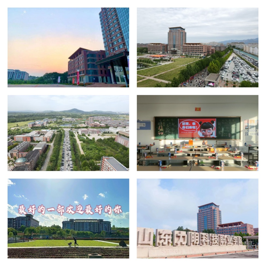 山东省内人气排名高的护理药学职业技术学校排名一览表