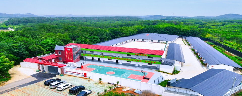 武汉江夏区优质的青春期孩子叛逆素质教育基地排行榜一览