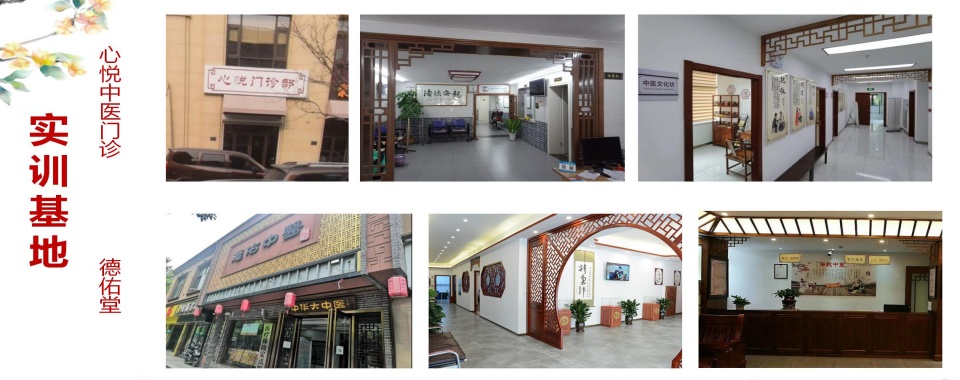 成都地区2025中医专长培训机构排名精选名单出炉