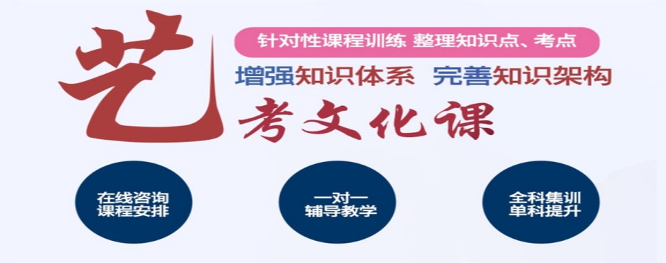 广西南宁2025艺考文化课冲刺培训辅导学校十大实力排行榜