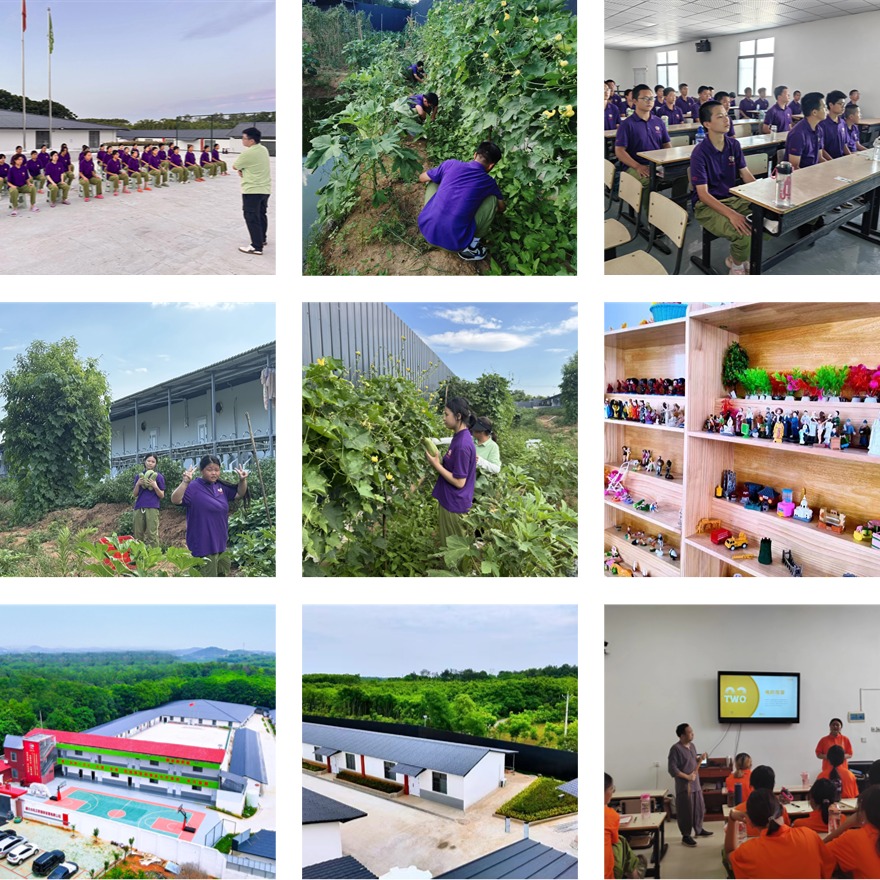 湖北发布:孩子意志薄弱改造机构排名公布