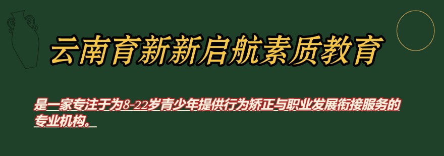 昆明市五华区评价好的应对叛逆期孩子特训学校top10排行榜