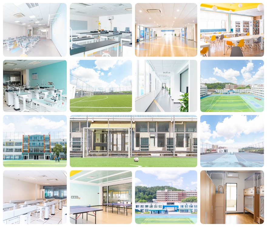 深圳南山区本地DSE考试辅导机构十大实力排名名单公布