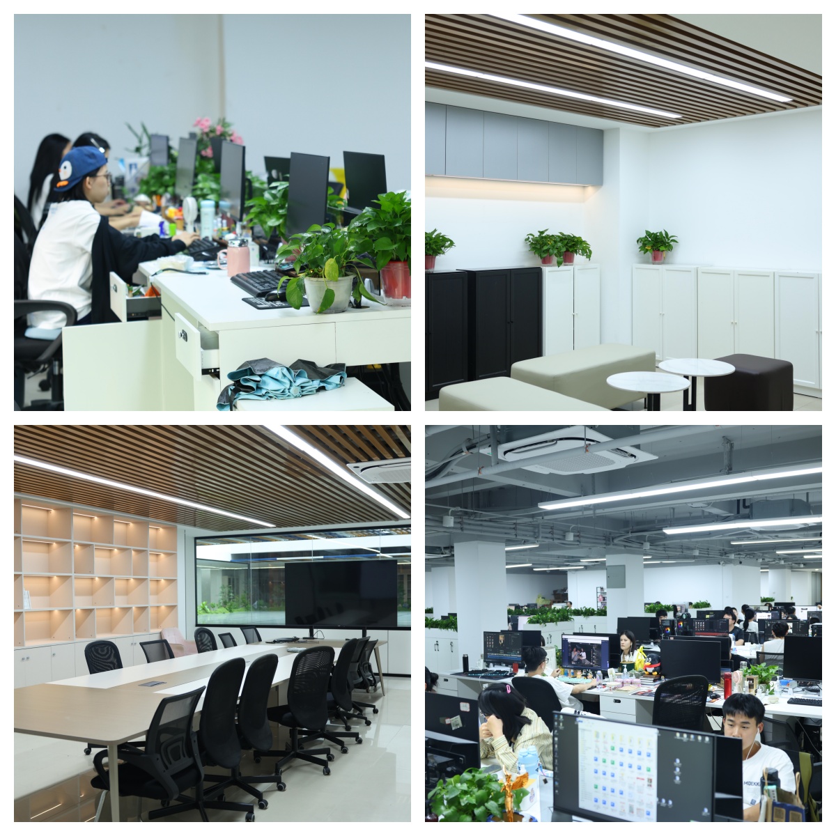 广东广州白云区十大热门的百万主播培训机构名单汇总一览