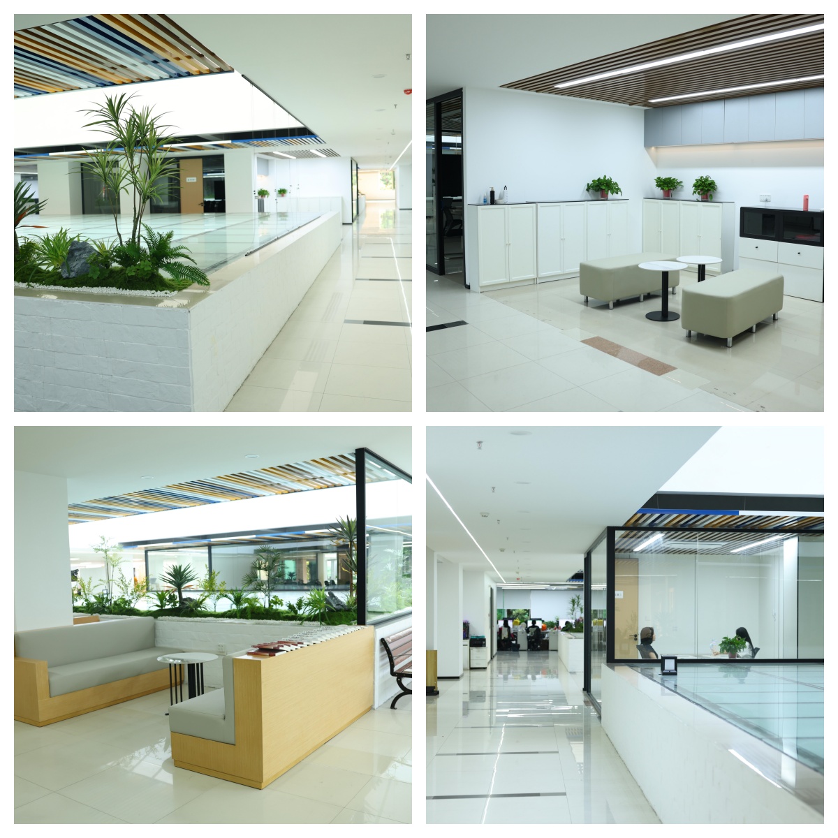 最新发布广东省广州市十大热门电商主播培训机构名单汇总