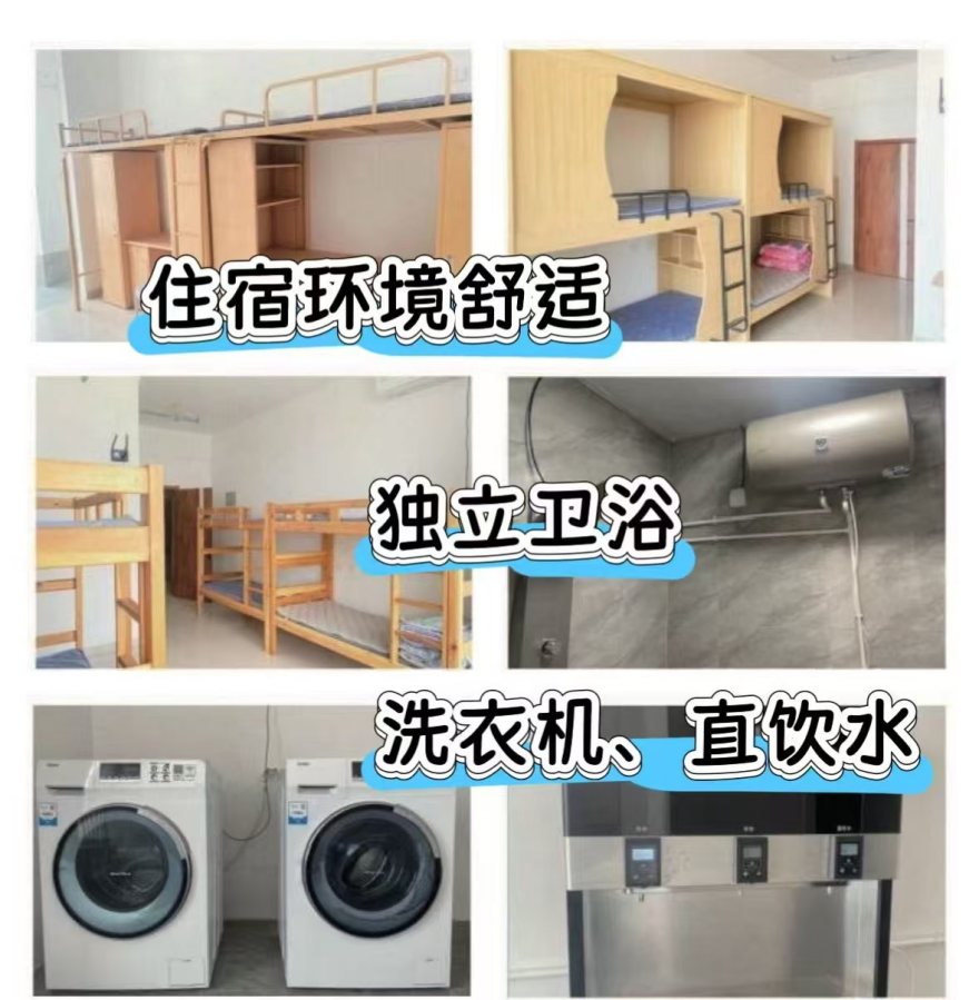 六大山东潍坊本地口碑单招培训机构实力推荐一览