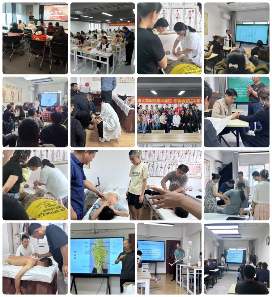 安徽合肥必看的前五中医专长培训机构排名名单出炉