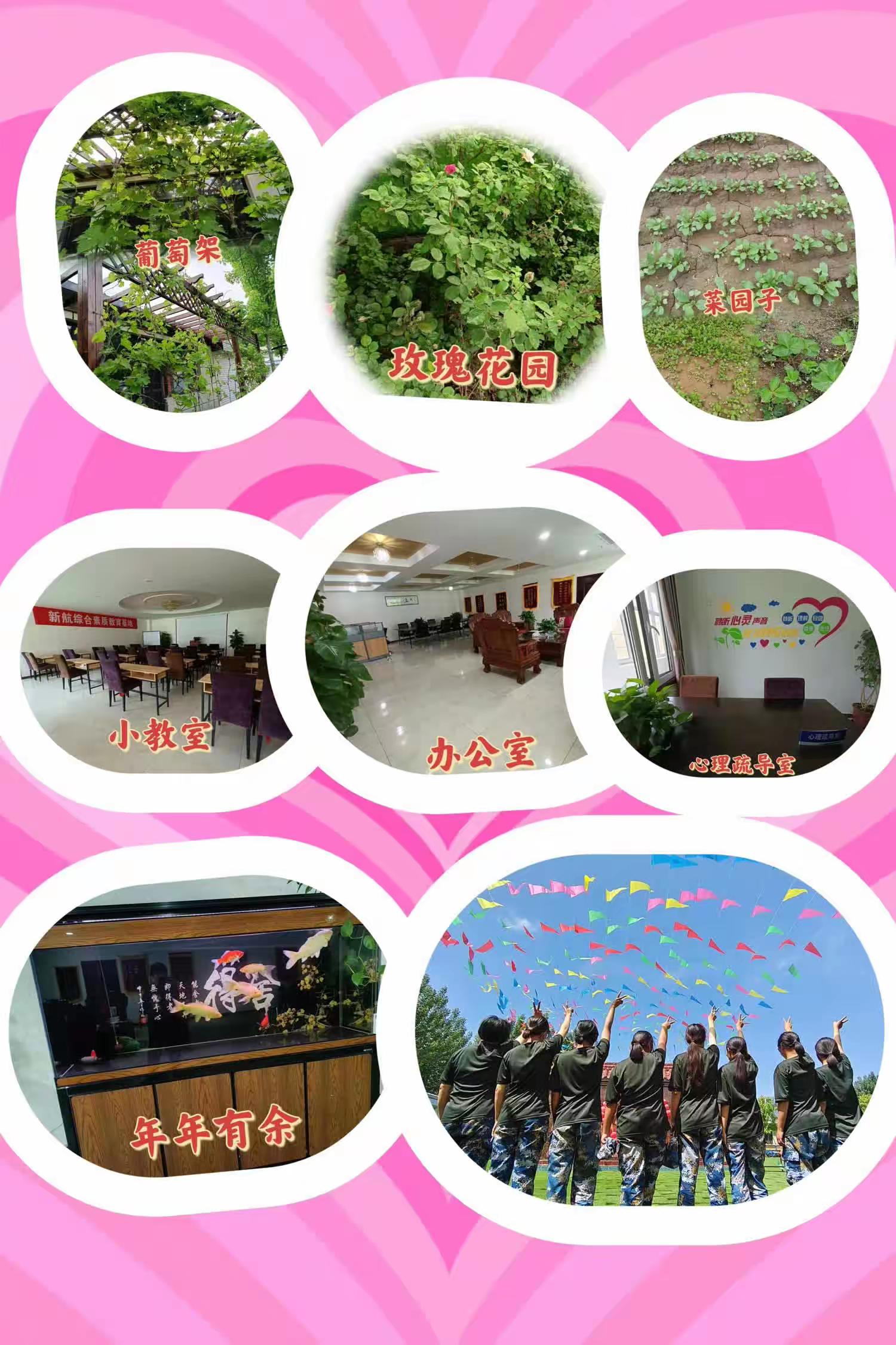 精选廊坊市比较出色十大青少年成长叛逆问题改造素质教育机构名单汇总