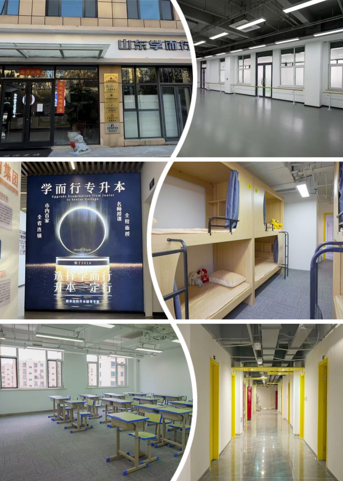 山东青岛口碑实力不错的统招专升本培训机构排名公布