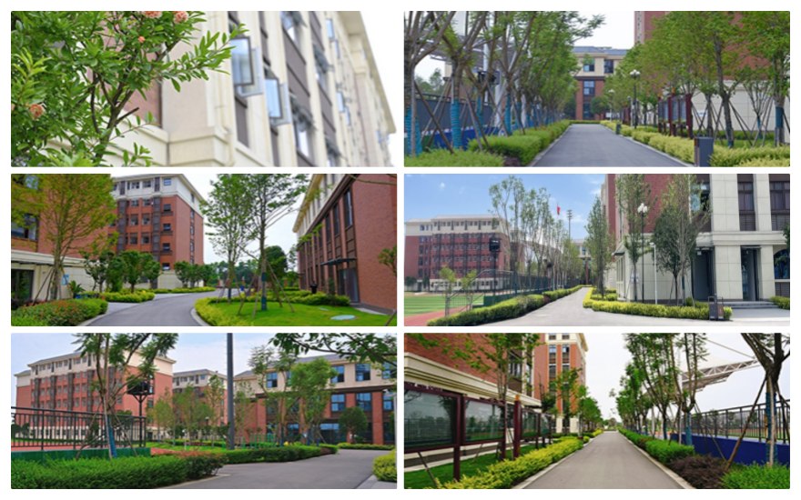 精准公布德阳师资棒的艺考生文化课培训机构排行榜TOP10汇总