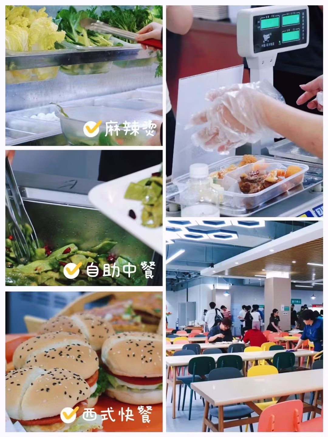 河南省十大专升本学历提升课程培训机构排名精选名单出炉