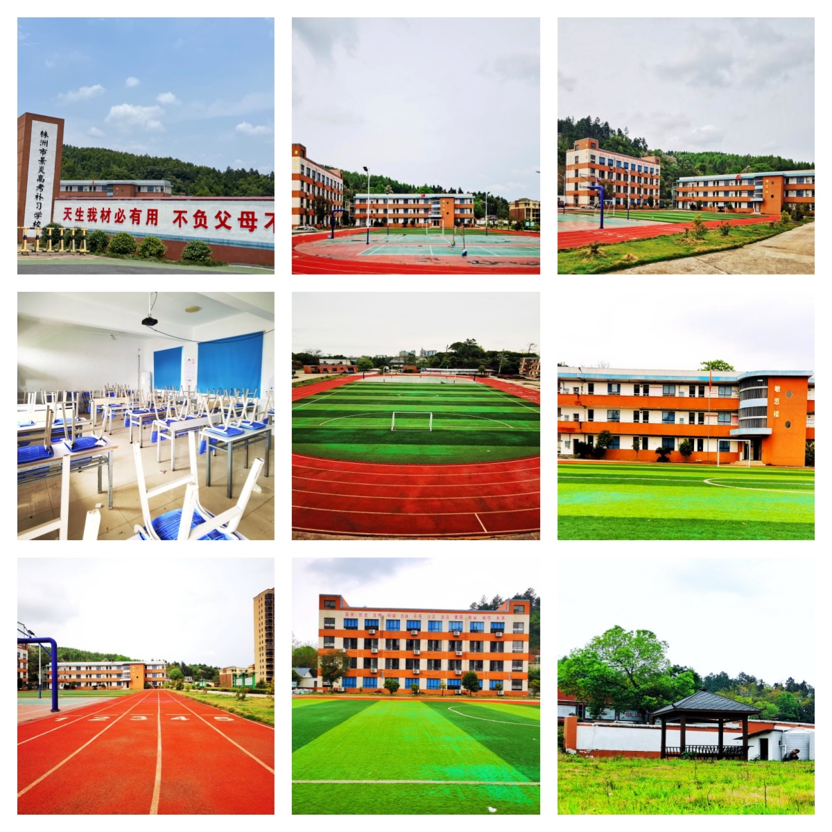 精选株洲市十分靠谱的高中文化课辅导机构排名前十排行榜一览