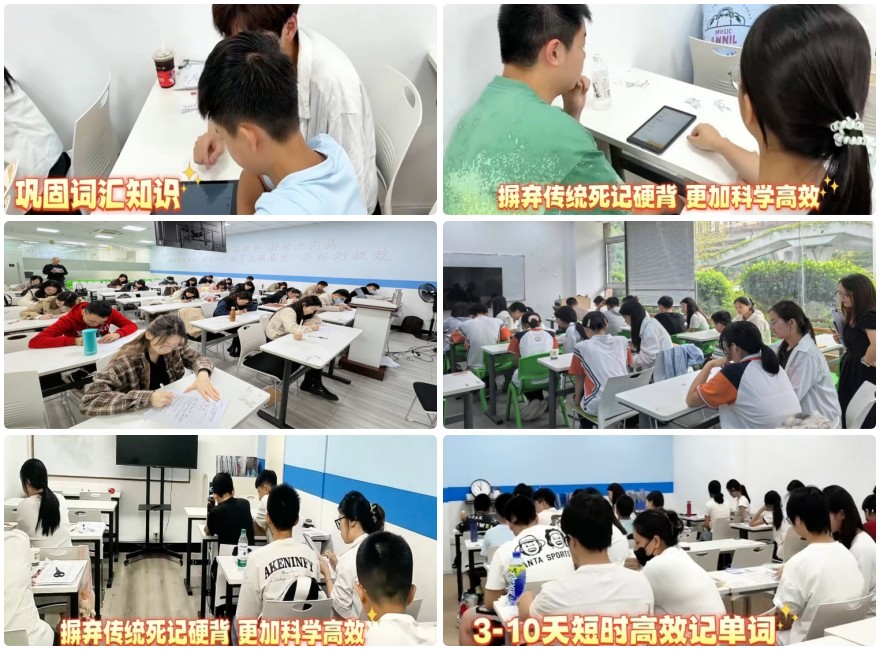 前十福州鼓楼区高三全科全日制冲刺班实力排名汇总