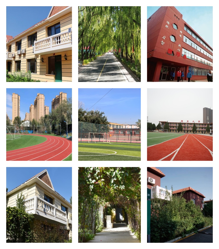 内蒙古top榜前十的艺考文化课辅导学校排名更新公布