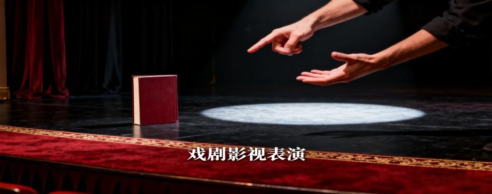 河北省石家庄市戏剧影视表演艺考培训机构名单一览榜10大排名