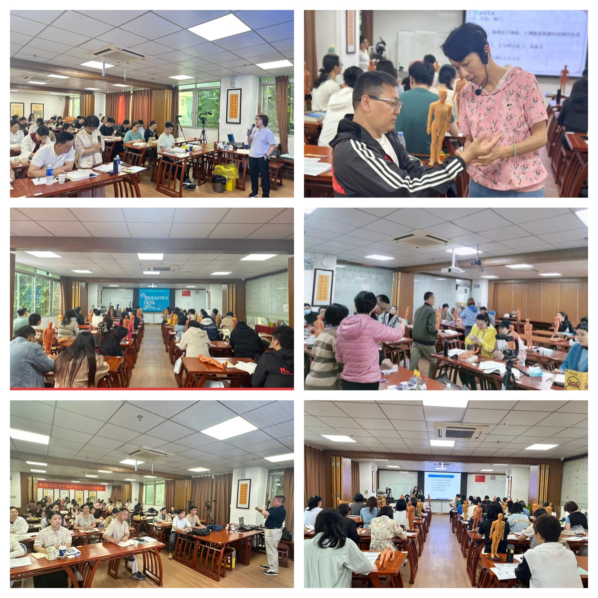 东莞本地中医专长培训班前十排名机构名单整理推荐