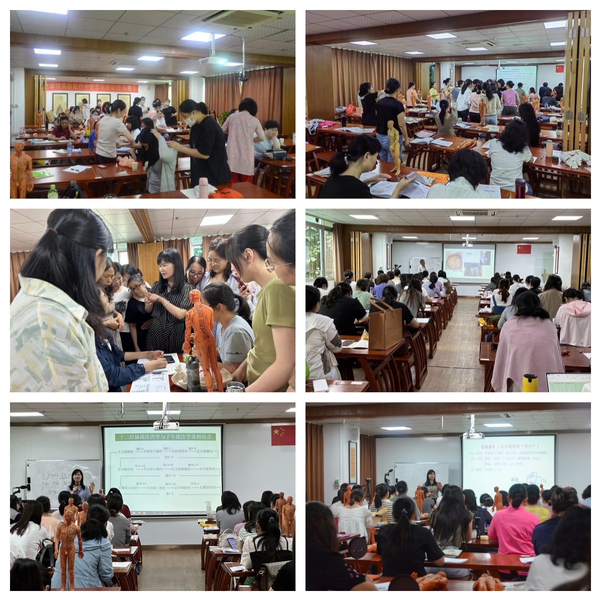 十大东莞地区中医针灸培训学校排名Top10名单2026一览