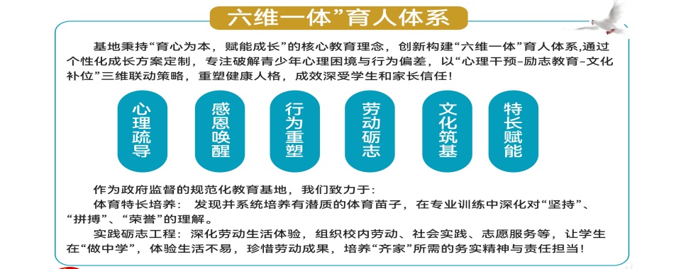 权威盘点2026年大连市青少年叛逆厌学戒网瘾特训机构排名