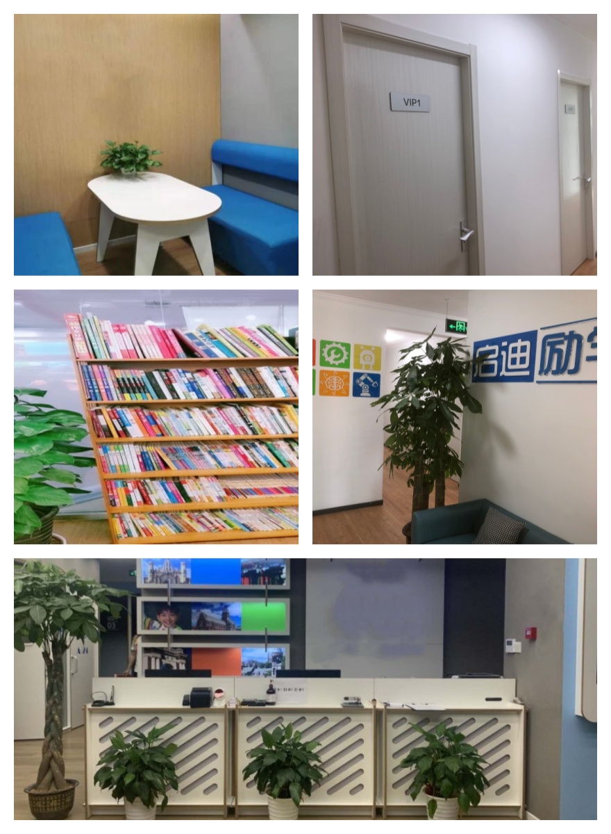 初中全科辅导优势全解析|北京海淀区优质辅导机构实力排名