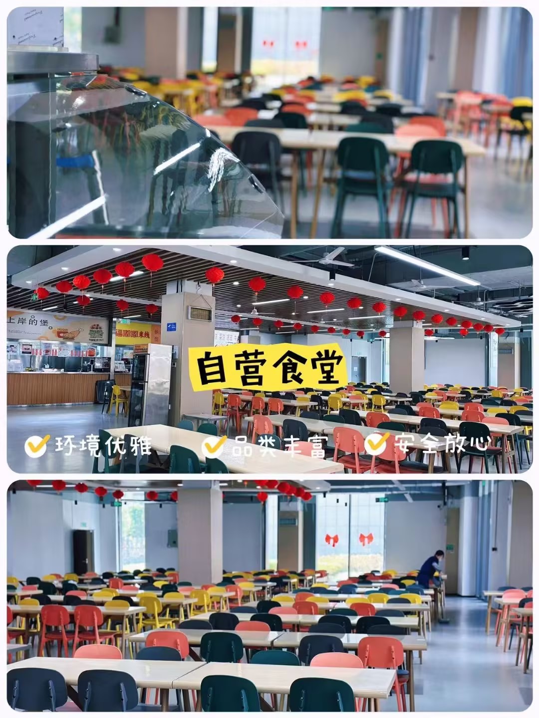 2026河北省内专升本排名前十的培训机构名单更新TOP榜