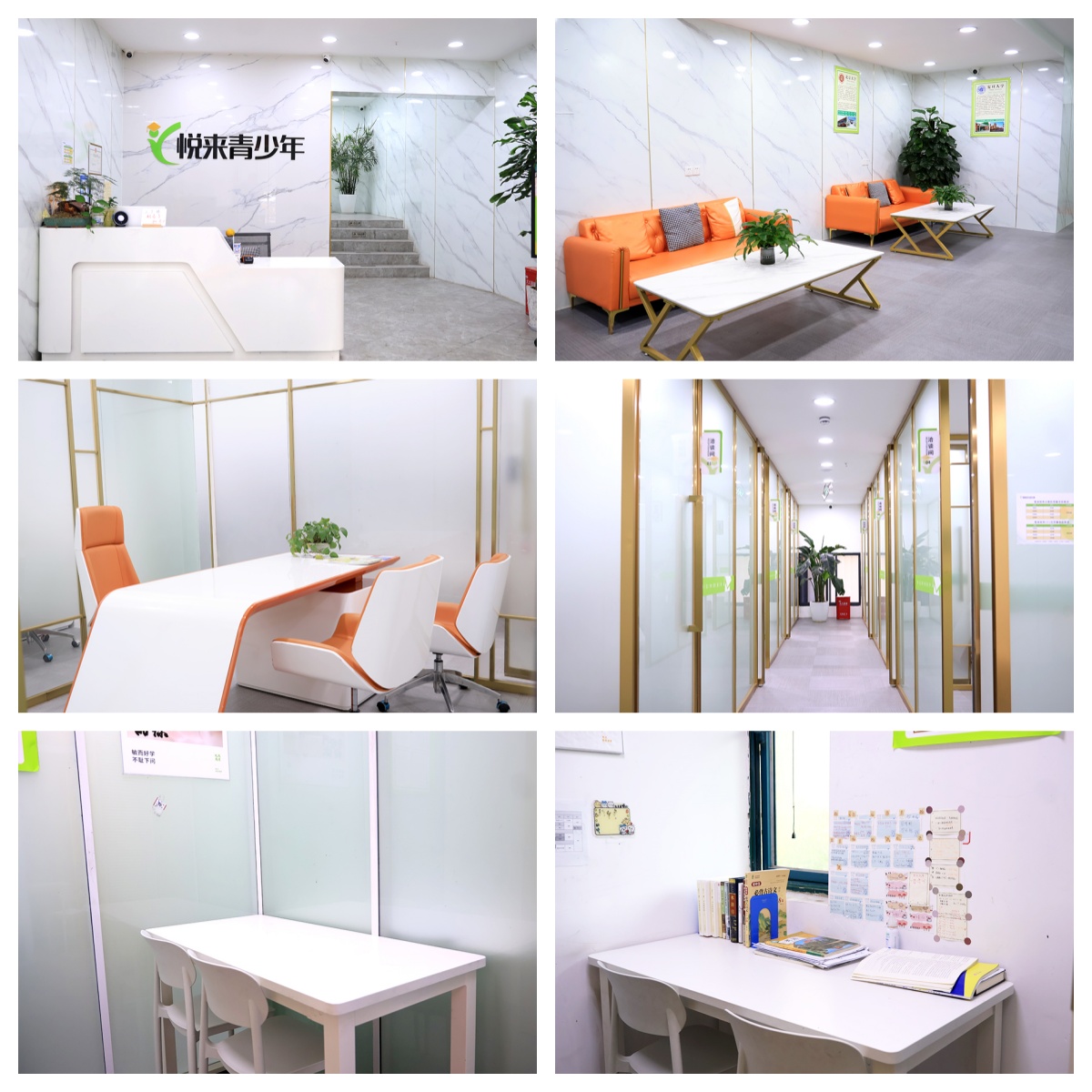 武汉市武昌区精选专业的高中一对一辅导培训学校名单榜首一览