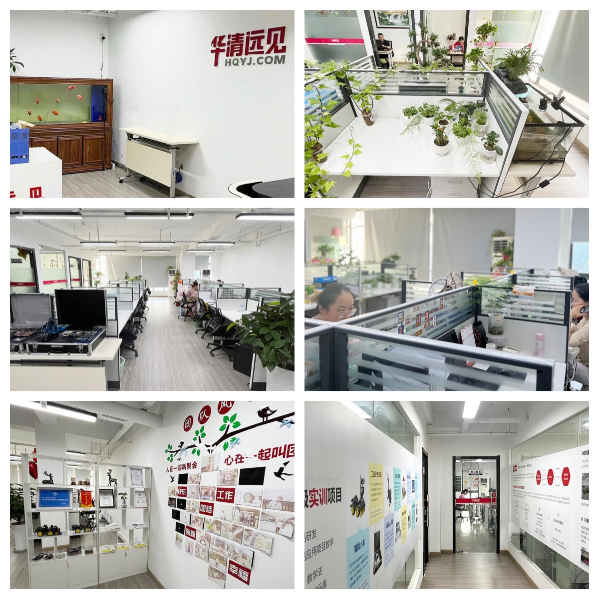 重庆市渝中区十大口碑卓越的嵌入式开发课程培训机构优选名单榜首