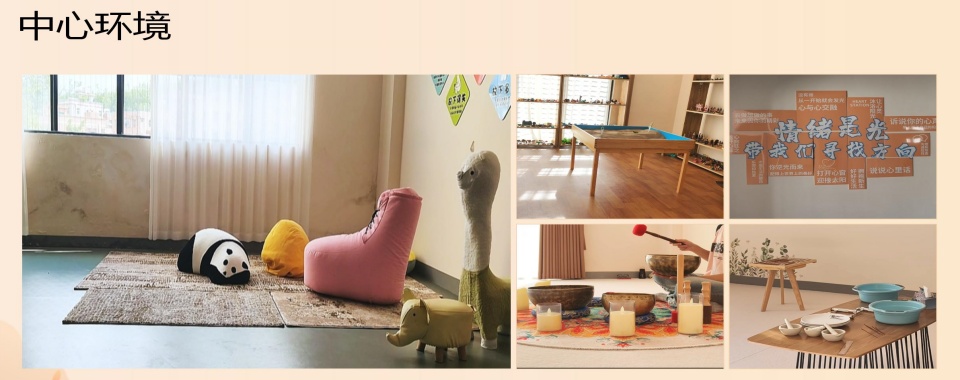 公布深圳市十大叛逆厌学孩子心理辅导教育学校排行榜名单