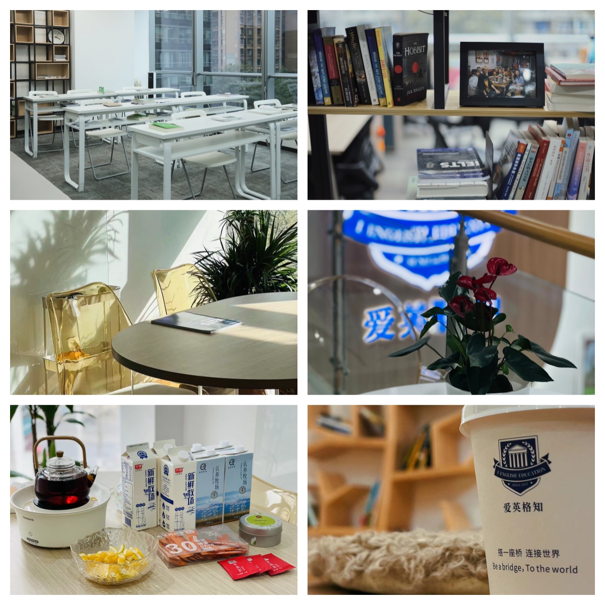 师资好的!2026四川成都市Alevel脱产培训机构盘点排名一览