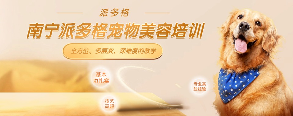 零基础优选榜单!南宁青秀区宠物美容培训机构人气榜首推荐一览