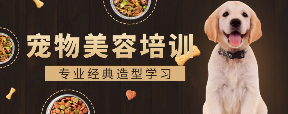 零基础优选榜单!南宁青秀区宠物美容培训机构人气榜首推荐一览