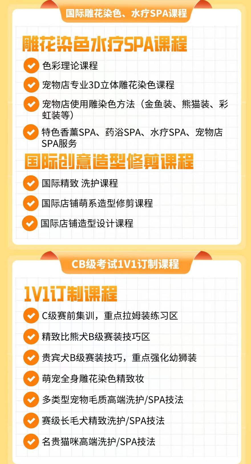 零基础优选榜单!南宁青秀区宠物美容培训机构人气榜首推荐一览