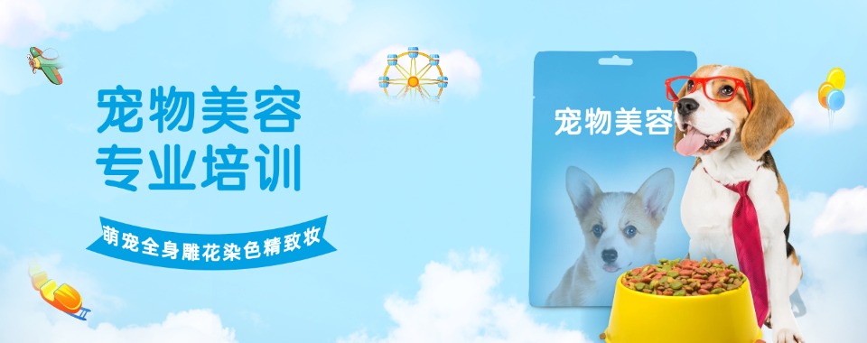零基础优选榜单！南宁青秀区宠物美容培训机构人气榜首推荐一览