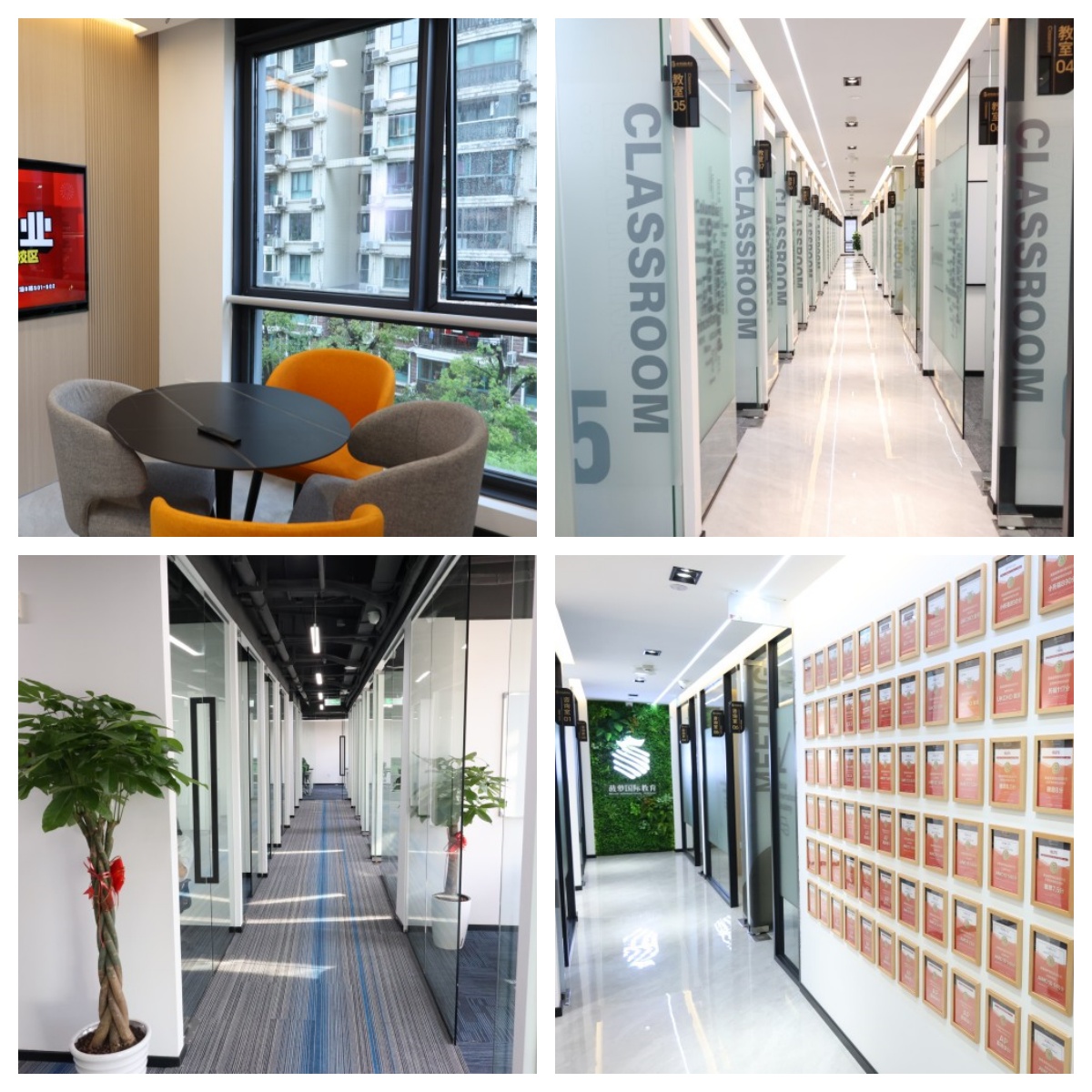 盘点上海徐汇区热门榜前十的IG课程辅导培训机构名单公布一览