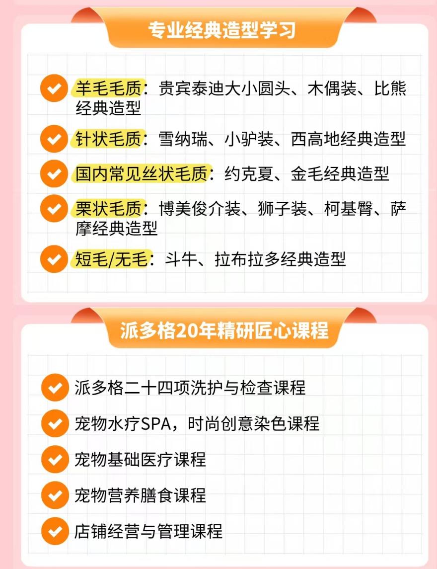 广西南宁宠物美容培训排名汇总发布,实力机构择校参考指南