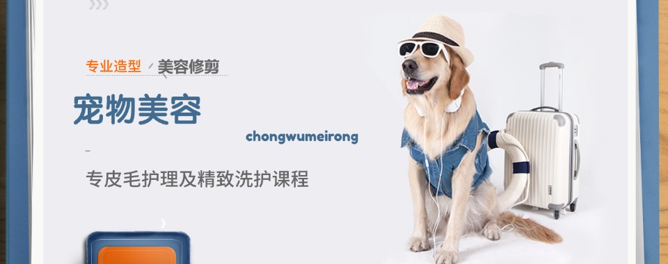 教学规范口碑好校推荐2026南宁热门宠物美容培训十大排名推荐更新