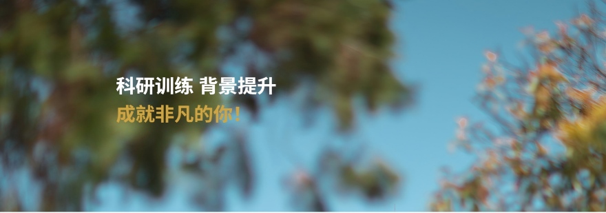 申博vs考博 哪个更适合你？选拔机制+备考攻略全解析-华睿考博