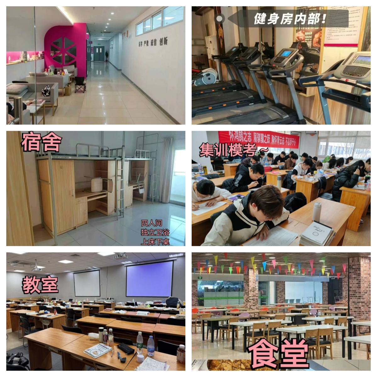 2026郑州靠谱的十大全日制专升本培训机构排行榜一览
