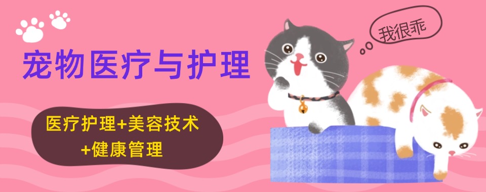 浙江杭州余杭区宠物医疗与护理培训三大排名深度盘点