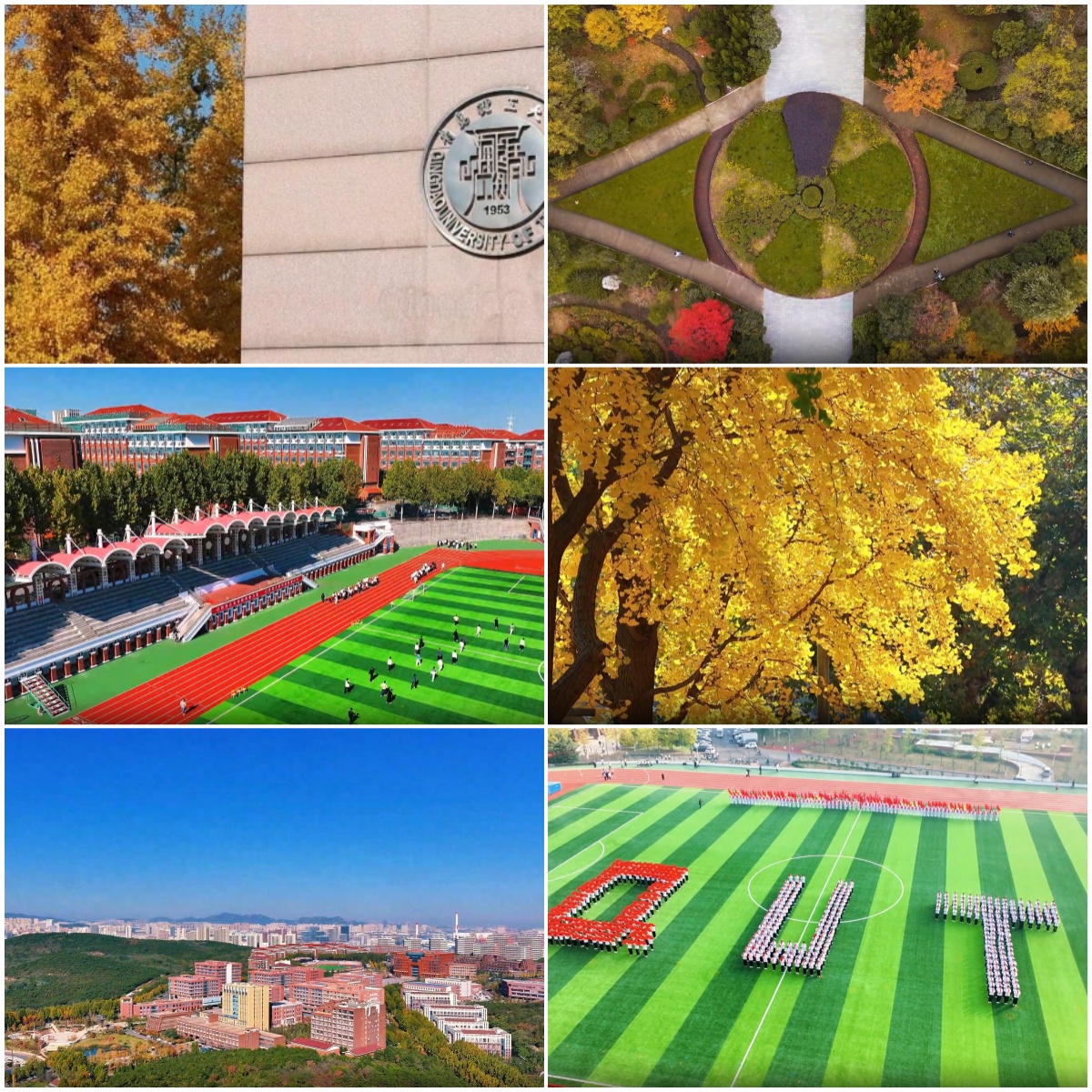 青岛地区有实力的AIGC培训机构TOP10最新出炉